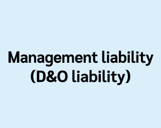 Management liability (D&O liability)
