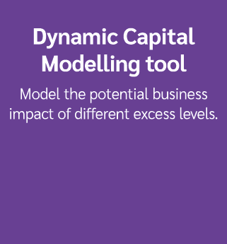 Dynamic Capital Modelling tool Model the potential business impact of different excess levels.
